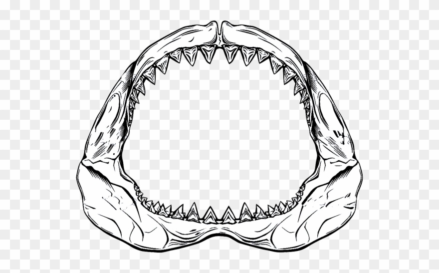 Drawn shark jaws.