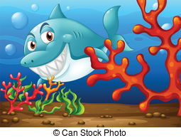 Sand shark illustrations.