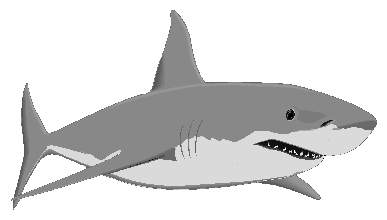 Free Sharks Cliparts, Download Free Clip Art, Free Clip Art