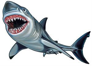 Shark clip art