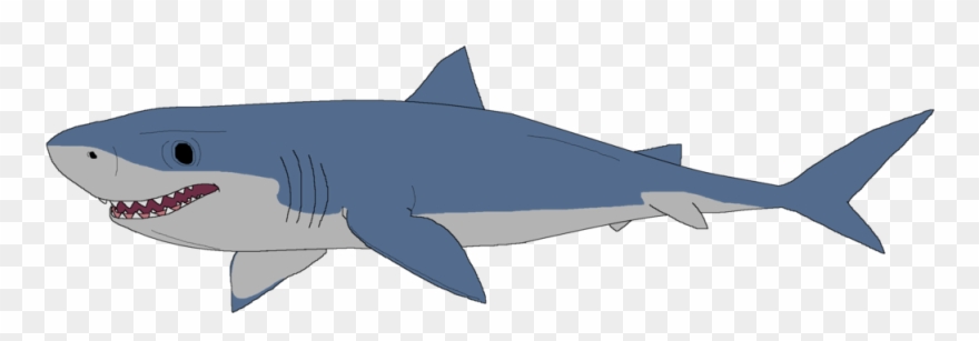 Great White Shark Clipart Mako Shark