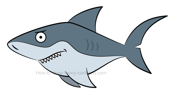 How draw shark.