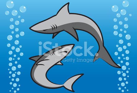 Swimming sharks clipart.