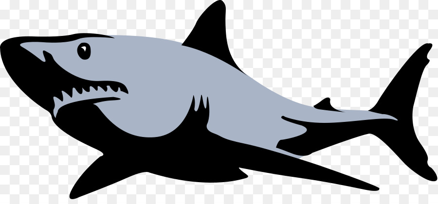 Great White Shark Background clipart