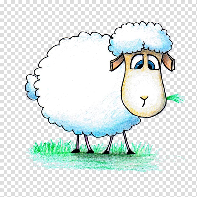 White sheep illustration.