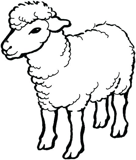 Sheep clipart outline.