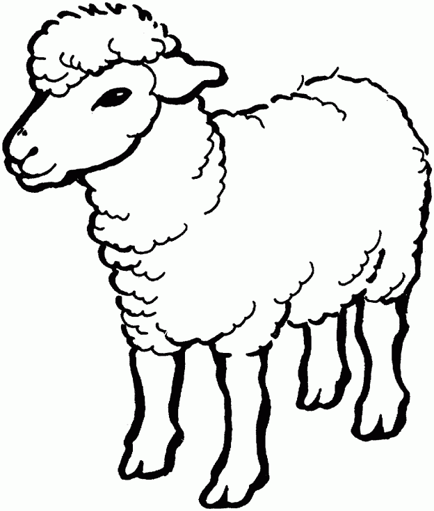Free Sheep Pictures For Kids, Download Free Clip Art, Free
