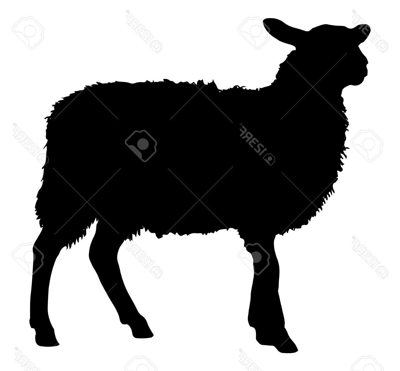 Unique sheep silhouette.