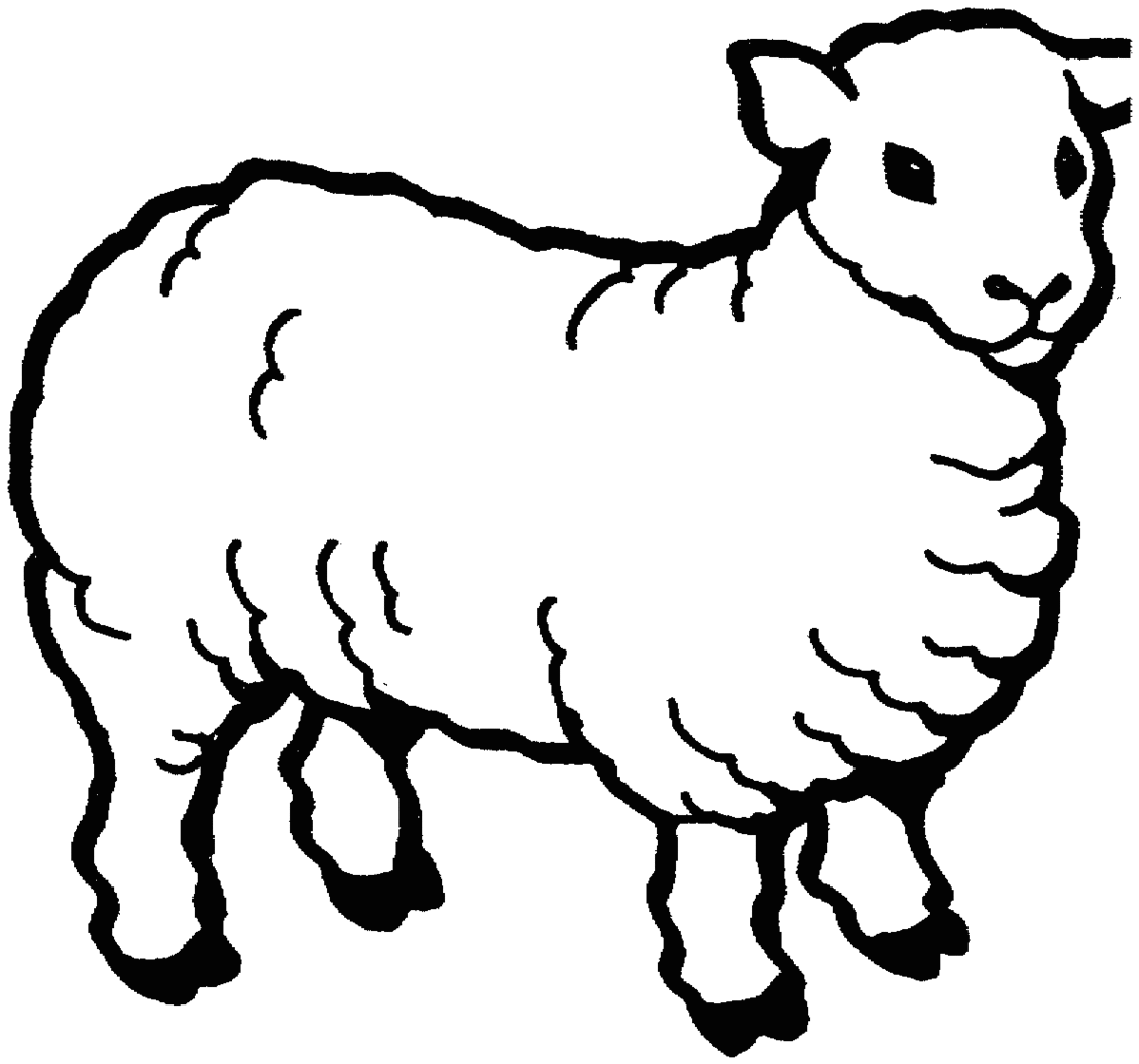 Free White Sheep Cliparts, Download Free Clip Art, Free Clip