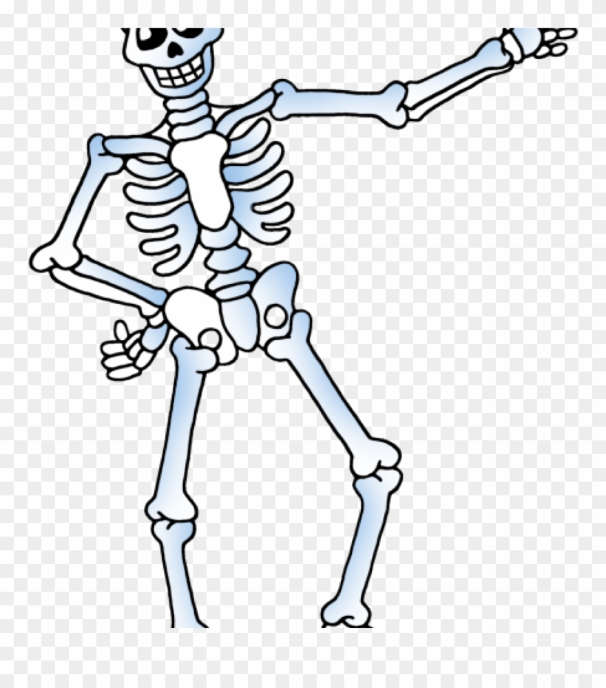 Download Free png Skelton Clipart Free Skeleton Clipart