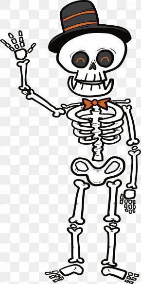 Cartoon Skeleton Images, Cartoon Skeleton PNG, Free download