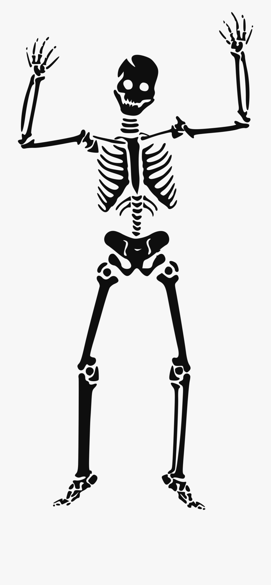 Skeleton Clipart Transparent