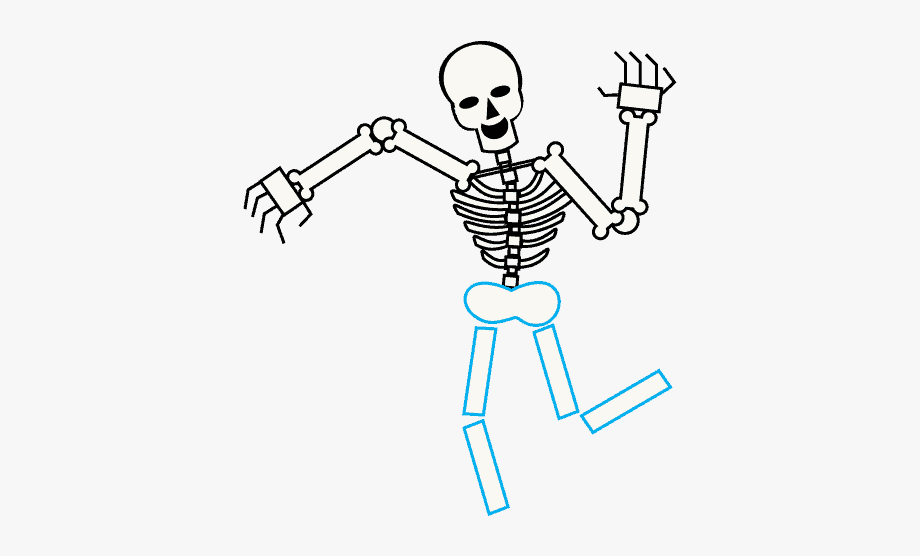 How draw skeleton.