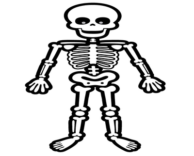 Human skeleton clipart.