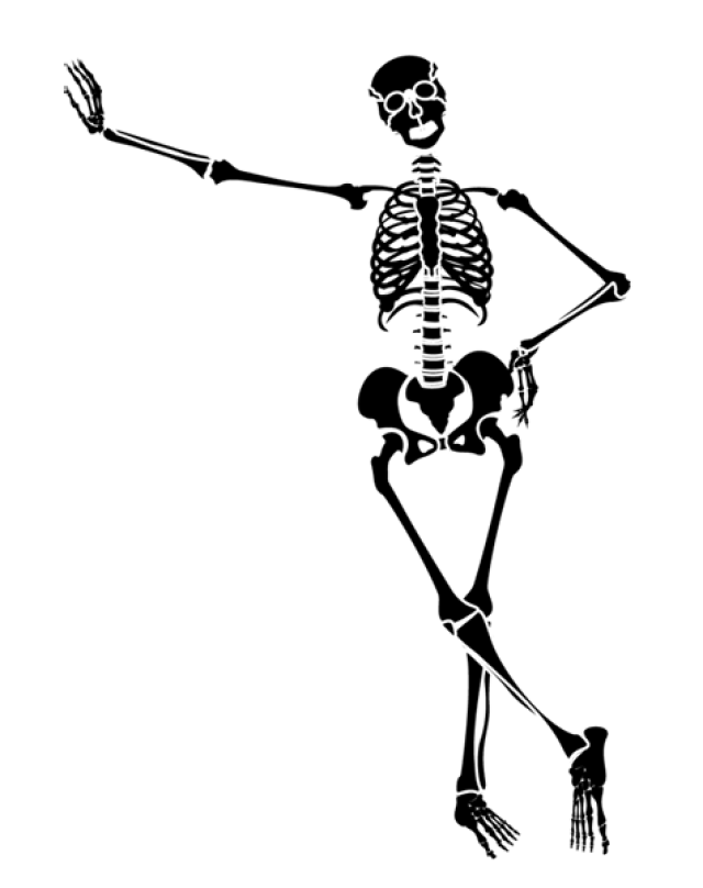 Free running skeleton.