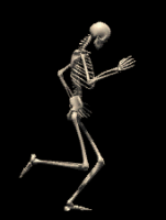 skeleton clipart moving