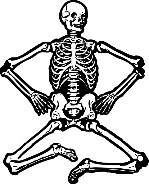 Human Skeleton clip art Free vector in Open office drawing