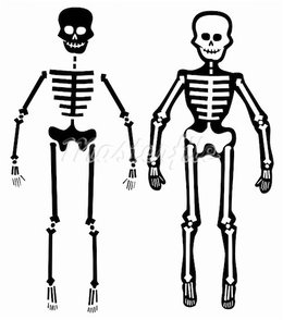 Skeleton clipart simple human, Skeleton simple human