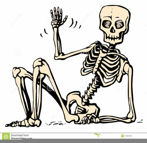 Download Free png Free Human Skeleton Clipart