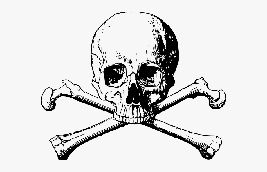 Crossbones skull danger.