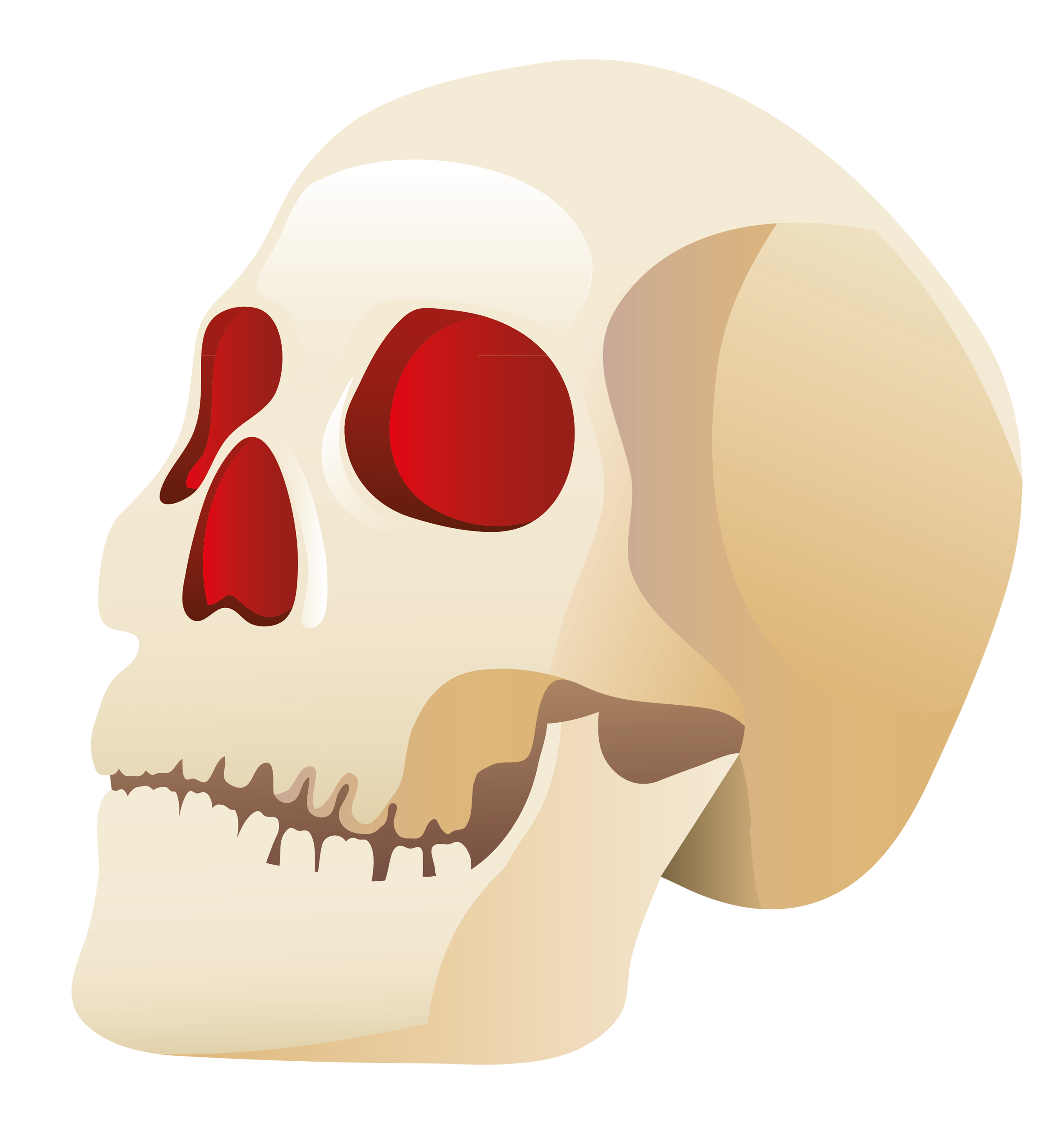 Halloween Skull Clipart