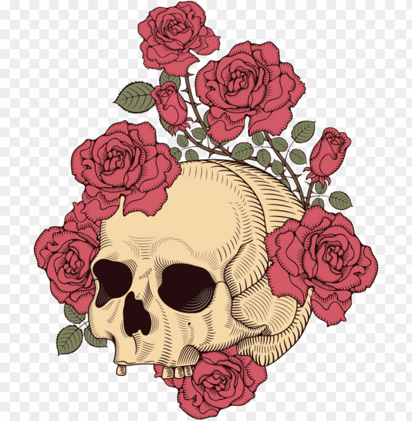 And skull rose illustration t