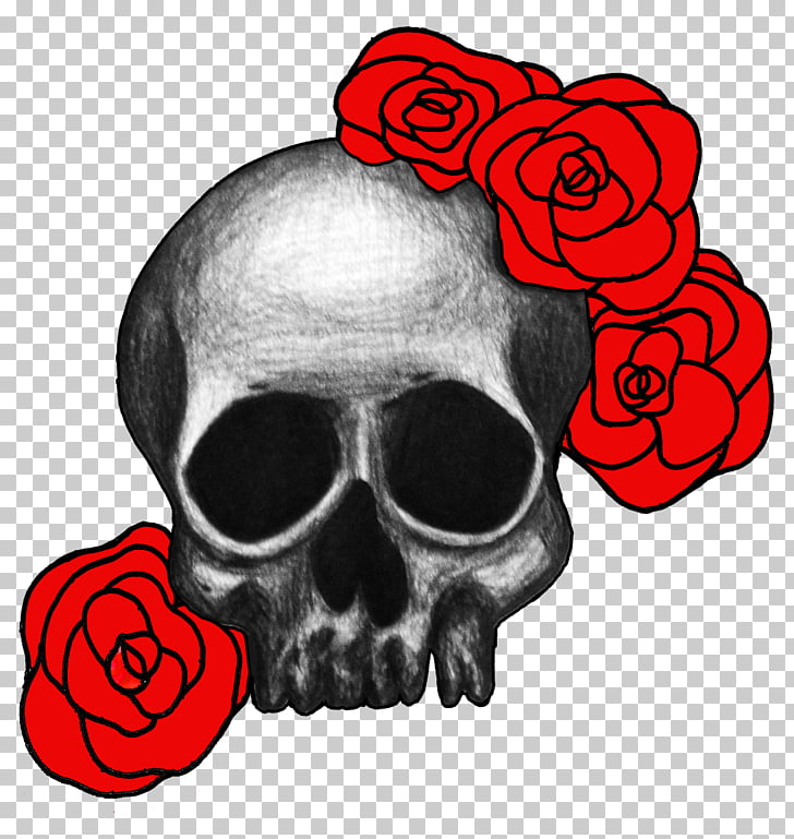 Skull Art Drawing Rose , skulls PNG clipart