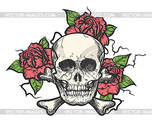 Skull with rose flowers