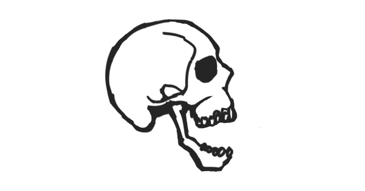 Side view skull.