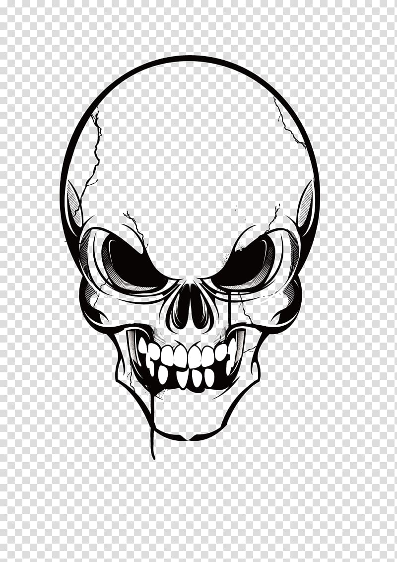 Black and white skull illustration, Skull , skulls