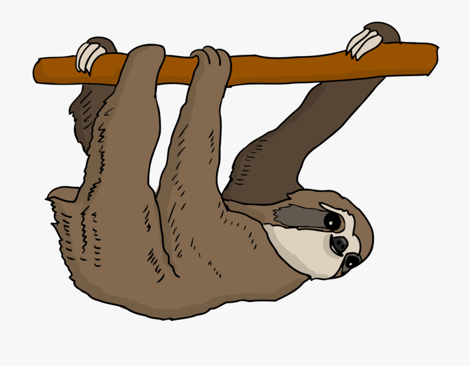 Three Toed Sloth Clipart