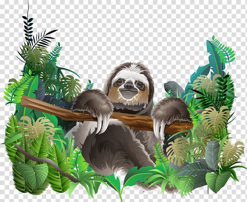 Sloth illustration, Sloth Euclidean Rainforest, Rainforest