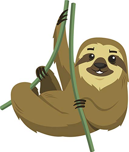 sloth clipart free amazon rainforest