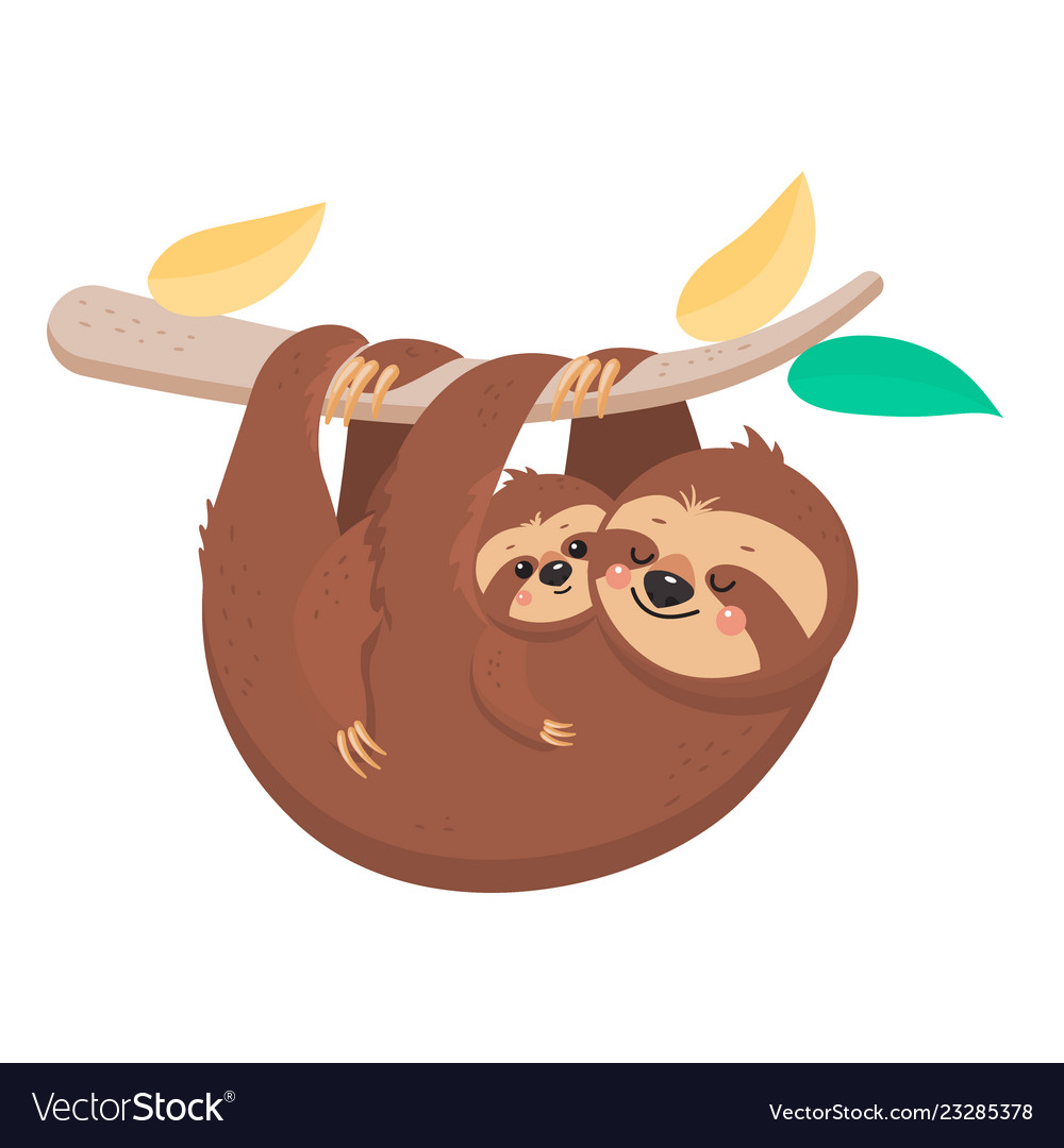 Mother sloth hanging on a branch with a child