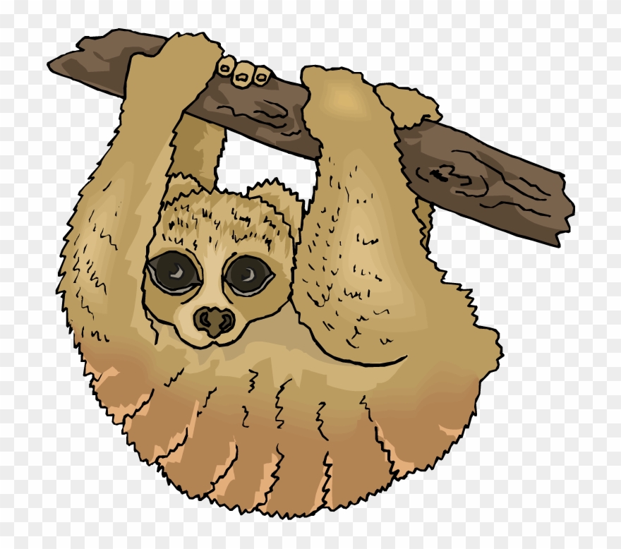 Free sloth clipart.