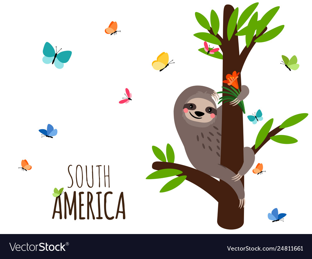 South america welcome banner with sloth flowers