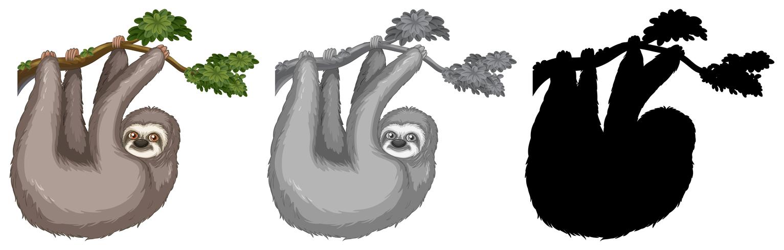Set of sloth hanging on tree branch