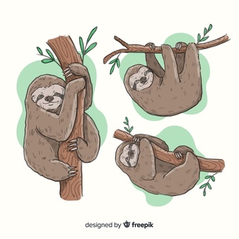 sloth clipart free caricatura