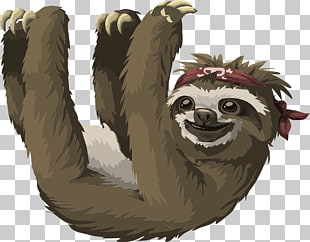 sloth clipart free caricatura
