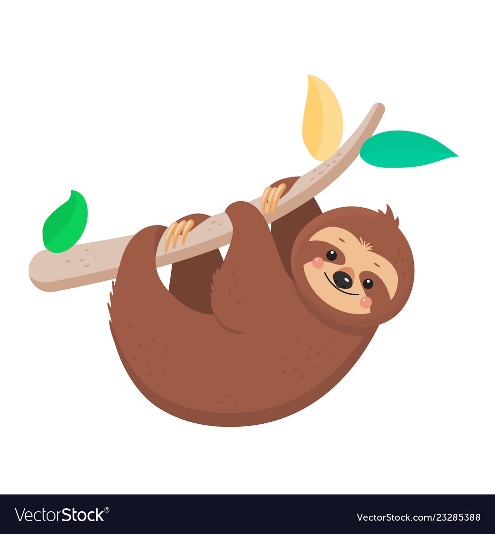 Joyful sloth hanging.