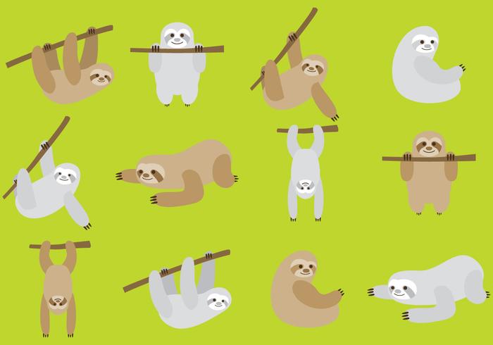 Cartoon Sloths