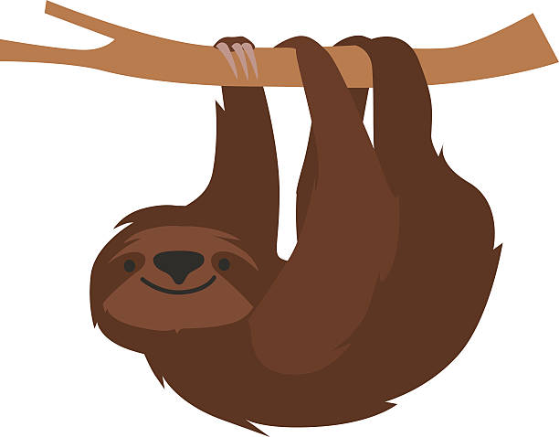 Sloth Clip Art
