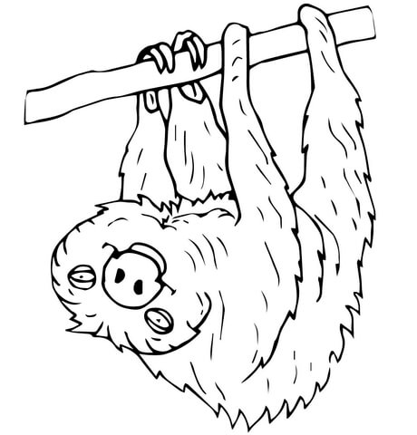 sloth clipart free color