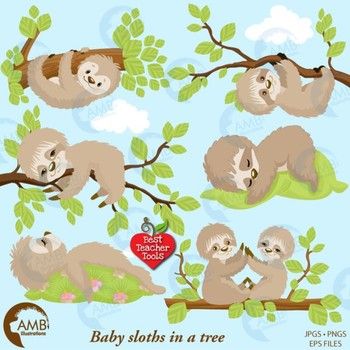 Sloth Clipart, Animal Clipart, Baby Sloths