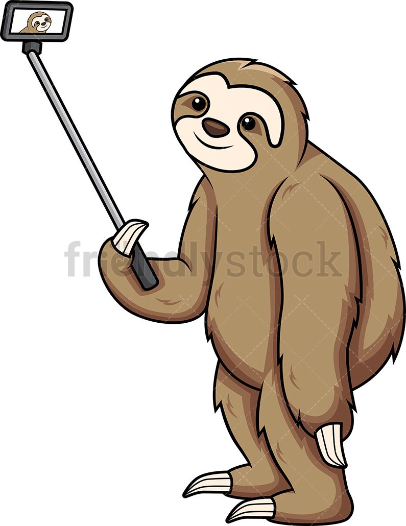 Sloth taking selfie.