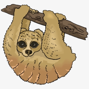 Sloth clipart two.