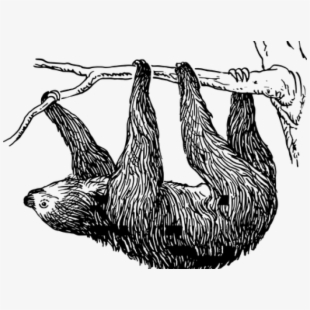 Sloth Clipart Religious