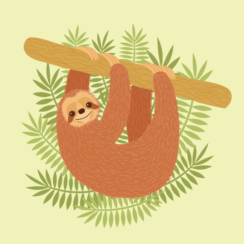 How to Create a Sloth Illustration in Adobe Illustrator