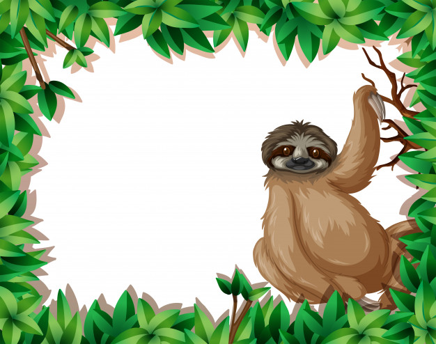A sloth in nature frame Vector