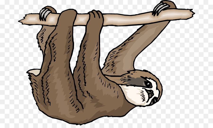 Sloth cartoon clipart.